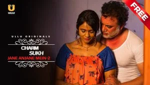 Jane Anjane Mein Season 2