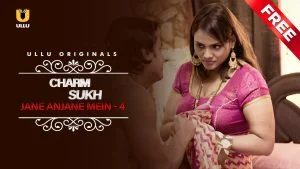 Jane Anjane Mein Season 4