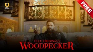 Woodpecker