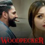 Woodpecker Episode 3