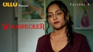 Woodpecker Episode 5