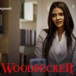Woodpecker Episode 7