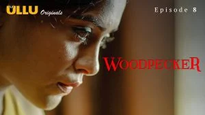 Woodpecker Episode 8