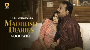 Madhosh Diaries Good Wife